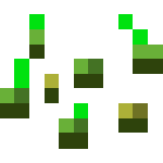 Seeds