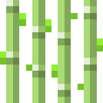 Sugar_Cane